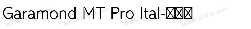 Garamond MT Pro Ital字体转换
